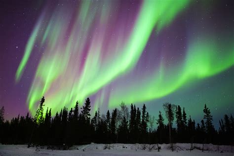 yellowknife aurora borealis forecast